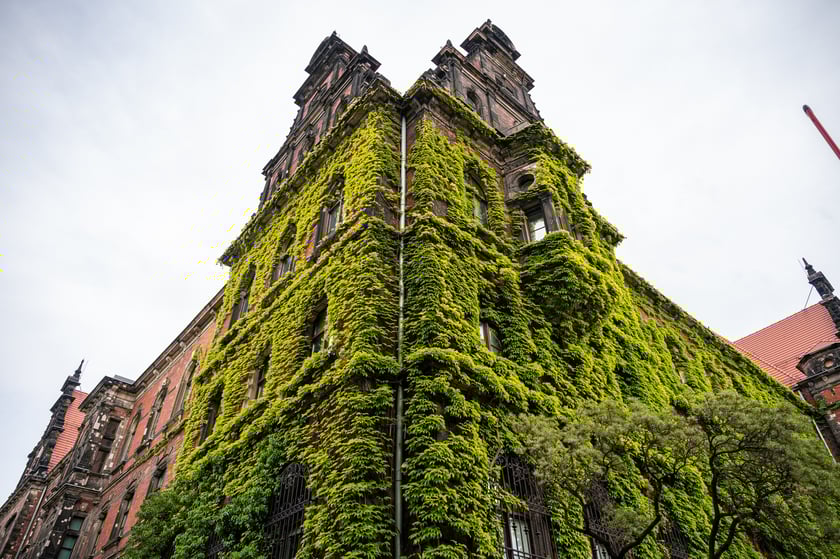 Muzeum Narodowe we Wrocławiu
